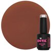 230 Diva CG Bean Brownie