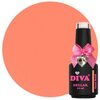 381 Diva Cg Coral Soleil