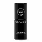 Top Frosted Powder Nail Art