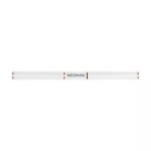 NN  Nailart Brush + Dottingtool