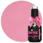 075 DIVA Giab Rose