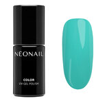 NN CG Court Couture