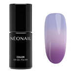 NN Thermo CG Your Comeback