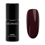 NN Cg Cozy &amp; Comfy (5-3)