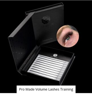 Pro made volume lashes training