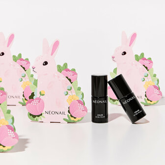 Easter bunny Set