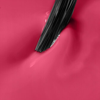 NN Cg Pink Reef