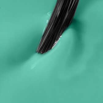 NN Cg Aqua Siren