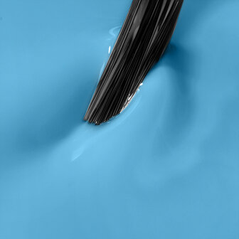 NN Cg Dive Into Blue