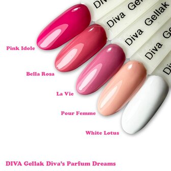 358 Diva Cg Pour Femme