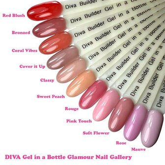 DIVA Gel in a Bottle Glamour Nail Gallery Elegant&amp;Smooth Collection - 11x 15 ml met gratis Fineliner