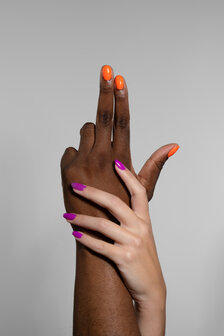 Pd Biap Papaya  Hema Free