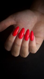 Master training gel