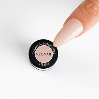 NN Cg Canvas Of Possibilities (8-22)