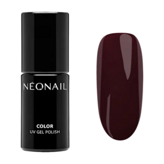 NN Cg Cozy &amp; Comfy (5-3)