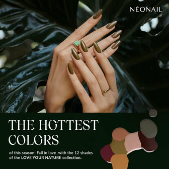 NN Cg Evening Rituals (1-29)