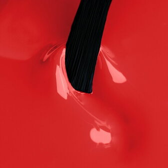 NN Cg Hot Crush (3-5)