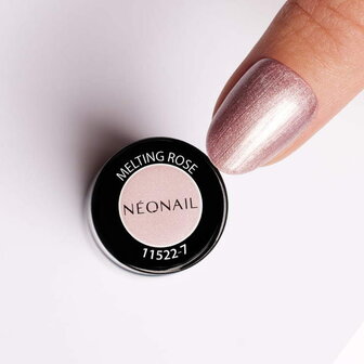 NN Cg Melting Rose (7-26)