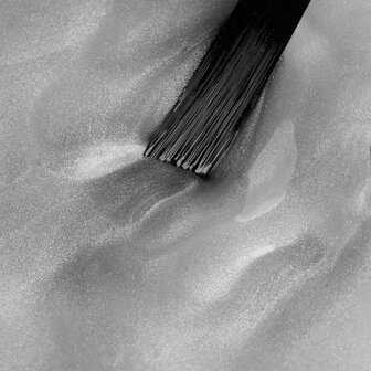 NN Cg Silver Sheen (7-30)