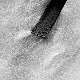 NN Cg Icy Allure (7-31)