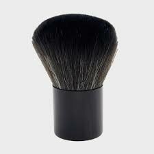 Dust Brush Black