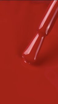 Color Of The Month March 26 Wild
