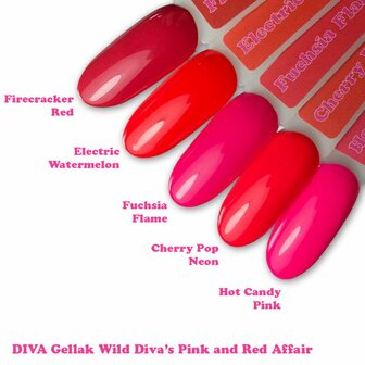 Wild Diva's Pink &amp; Red Affair