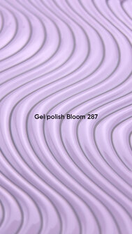 287 NOTD Cg Bloom