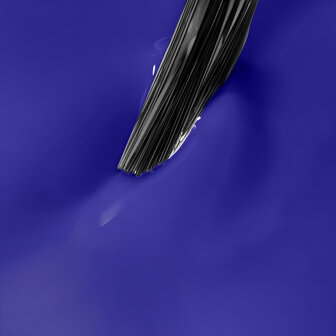 NN CG Bold Horizon
