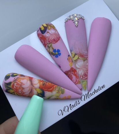 Diva Gellak Cutie Color Collection