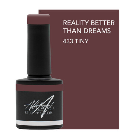 433 Brush n Color Reality Better Than Dreams Tiny