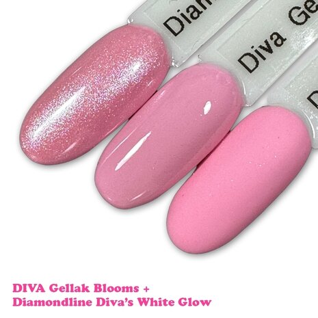 Diva CG Watch Me Glow Sugar Collection - Hema Free + gratis pigment