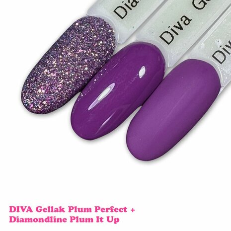 Diva CG Plum Perfect