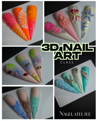 3D Nailart class Zondag 20 juli 9-13.30u