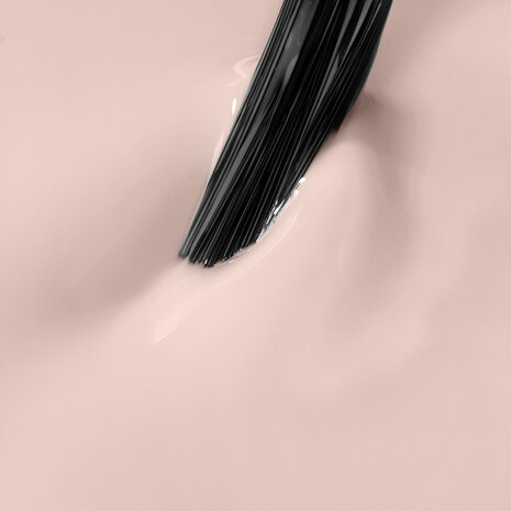NN Cg Canvas Of Possibilities (8-22)