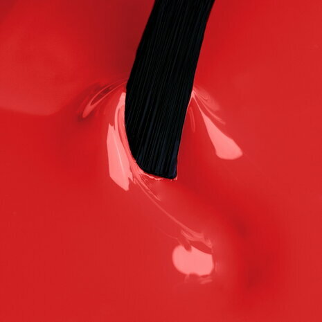 NN Cg Hot Crush (3-5)