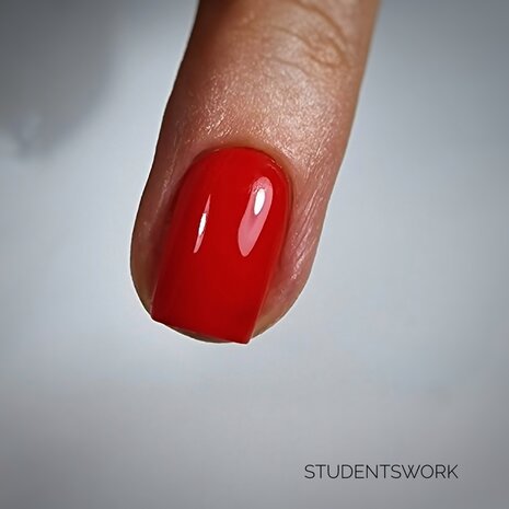 2. Basisopleiding Module 2: Gelnagels April