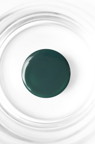 Pd Biap Pine Hema Free