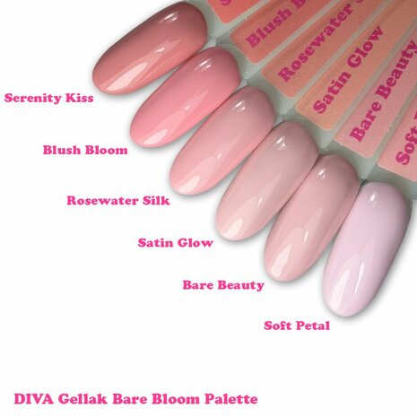 360 Diva Cg Blush Bloom