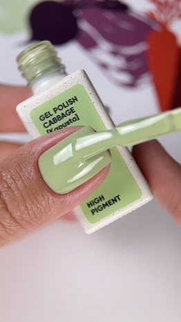 240 NOTD CG Cabbage