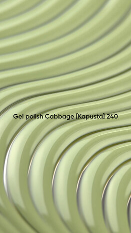 240 NOTD CG Cabbage
